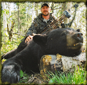 bear hunts, canada bear hunting guides, bear hunting outfitters, quebec bear hunting guide services