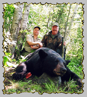 bear hunts, canada bear hunting guides, bear hunting outfitters, quebec bear hunting guide services